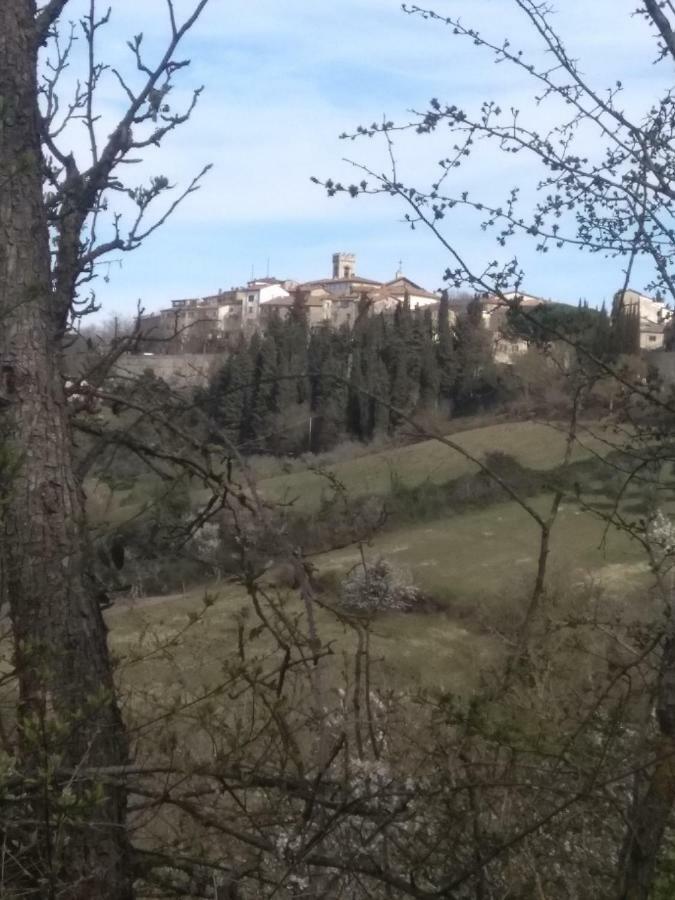 Camere E Appartamenti Baldini Romanita Рада ин Кианти Екстериор снимка